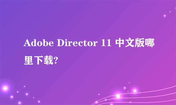 Adobe Director 11 中文版哪里下载?