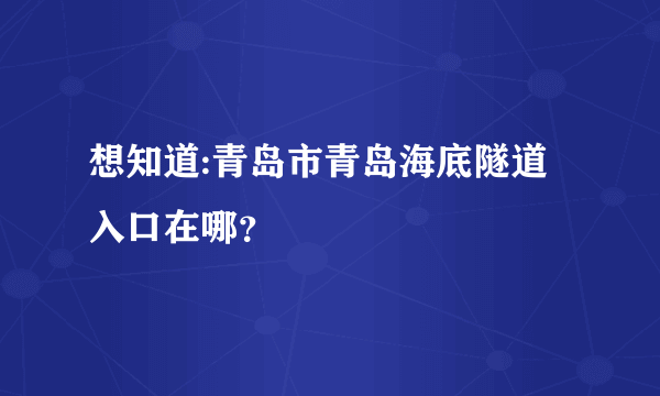 想知道:青岛市青岛海底隧道入口在哪？