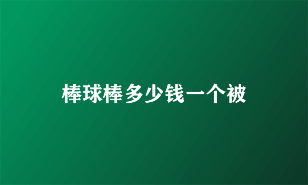 棒球棒多少钱一个被