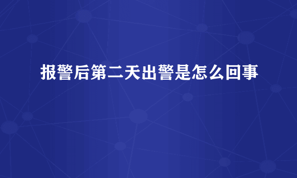 报警后第二天出警是怎么回事