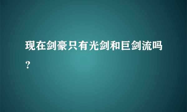 现在剑豪只有光剑和巨剑流吗？