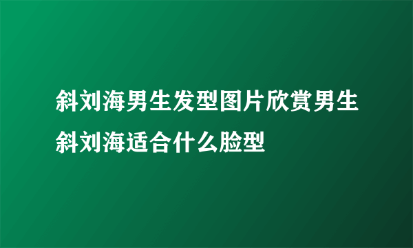 斜刘海男生发型图片欣赏男生斜刘海适合什么脸型