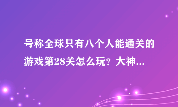 号称全球只有八个人能通关的游戏第28关怎么玩？大神们帮帮忙