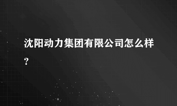 沈阳动力集团有限公司怎么样？