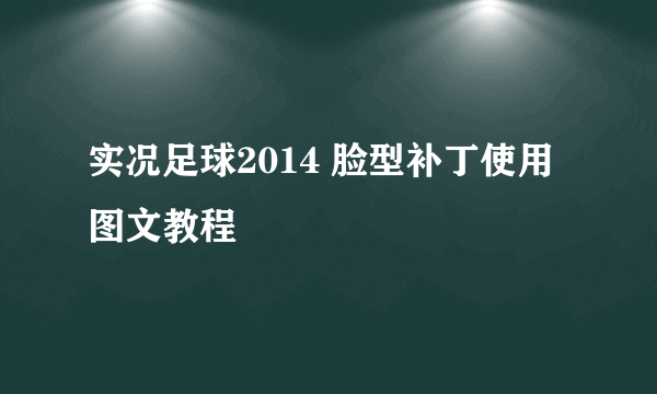 实况足球2014 脸型补丁使用图文教程