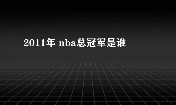 2011年 nba总冠军是谁