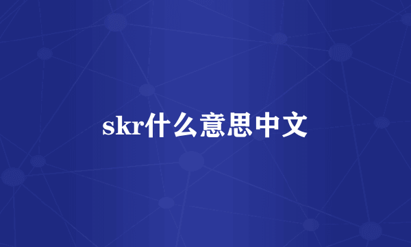 skr什么意思中文