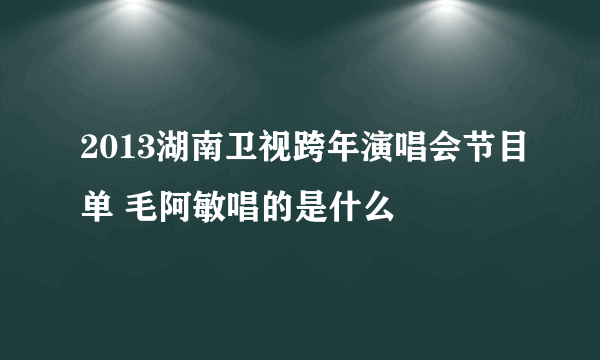 2013湖南卫视跨年演唱会节目单 毛阿敏唱的是什么