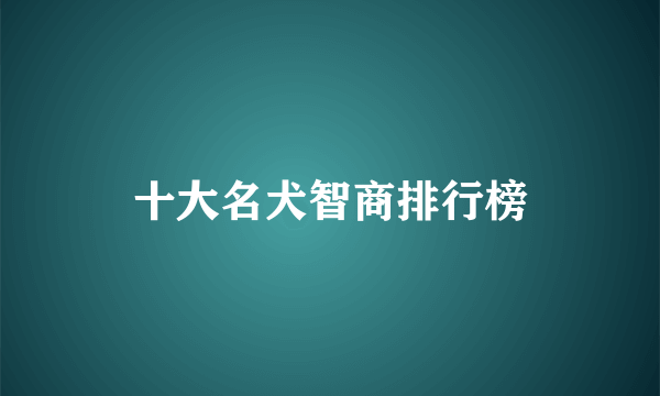 十大名犬智商排行榜