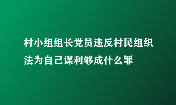 村小组组长党员违反村民组织法为自己谋利够成什么罪