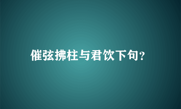 催弦拂柱与君饮下句？