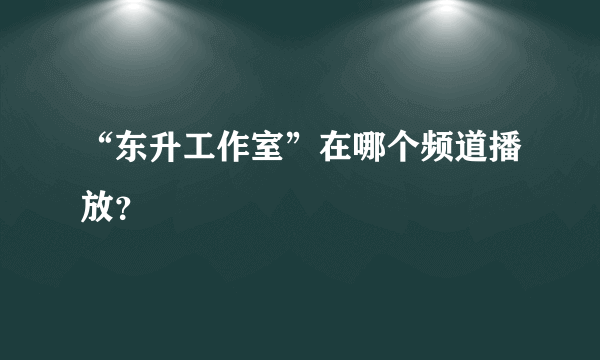 “东升工作室”在哪个频道播放？