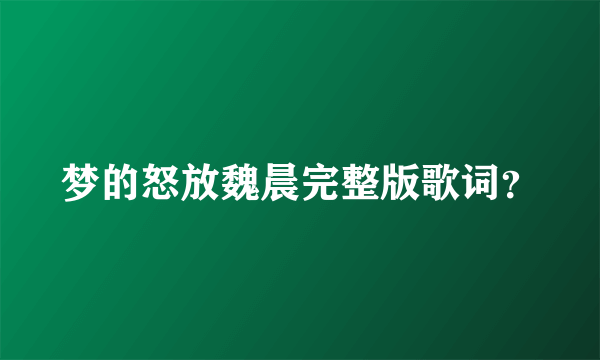 梦的怒放魏晨完整版歌词？