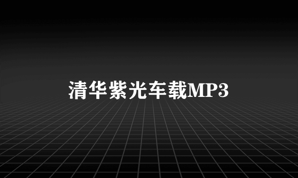 清华紫光车载MP3