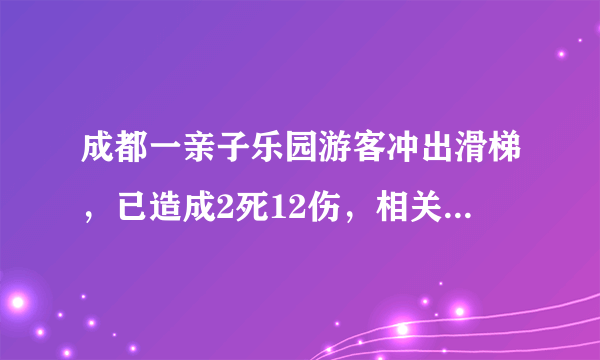 成都一亲子乐园游客冲出滑梯，已造成2死12伤，相关负责人被控制, 你怎么看？