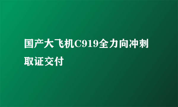 国产大飞机C919全力向冲刺取证交付