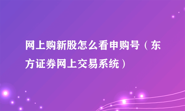 网上购新股怎么看申购号（东方证券网上交易系统）