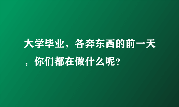 大学毕业，各奔东西的前一天，你们都在做什么呢？