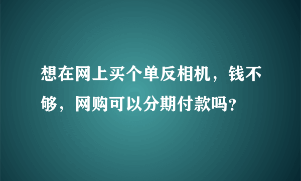 想在网上买个单反相机，钱不够，网购可以分期付款吗？