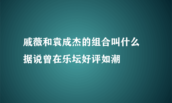 戚薇和袁成杰的组合叫什么 据说曾在乐坛好评如潮