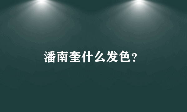 潘南奎什么发色？