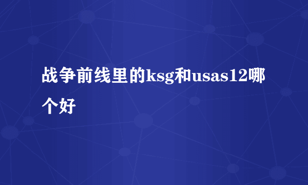 战争前线里的ksg和usas12哪个好