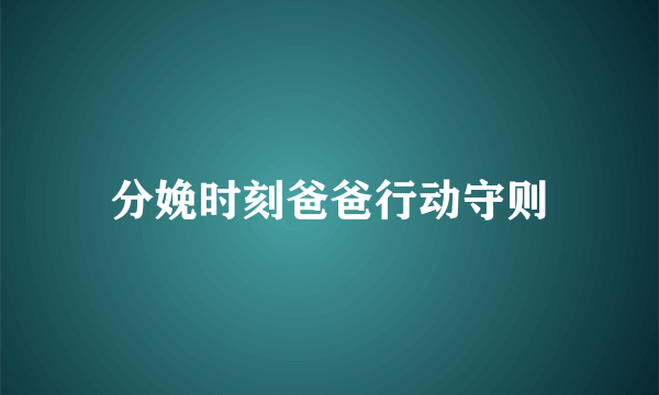 分娩时刻爸爸行动守则