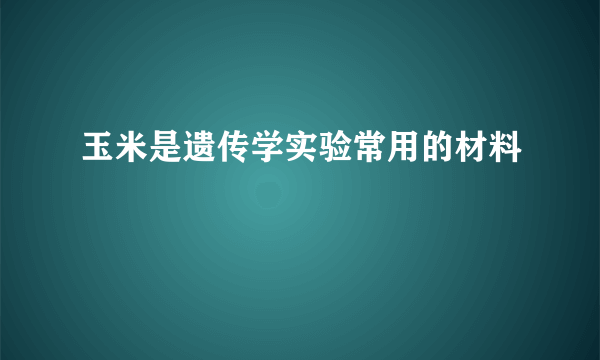 玉米是遗传学实验常用的材料