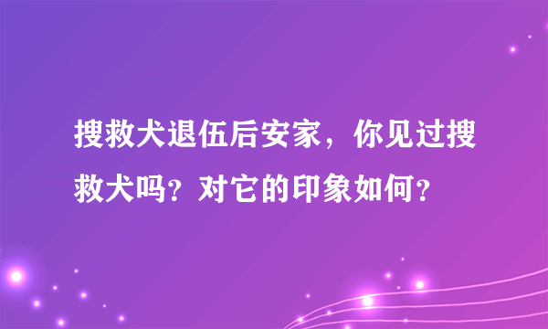 搜救犬退伍后安家，你见过搜救犬吗？对它的印象如何？