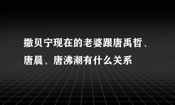 撒贝宁现在的老婆跟唐禹哲、唐晨、唐沸潮有什么关系