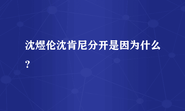 沈煜伦沈肯尼分开是因为什么？