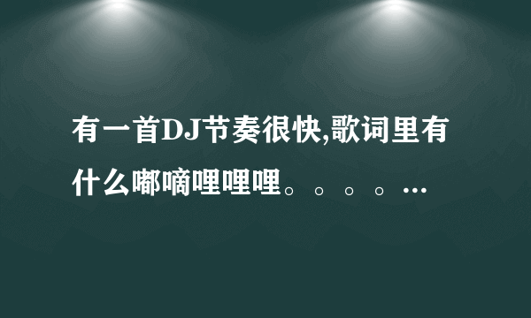 有一首DJ节奏很快,歌词里有什么嘟嘀哩哩哩。。。。好多的哩。。而且那个嘀里唱的特别快。。曲子也好听。