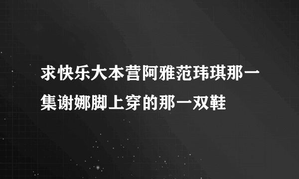 求快乐大本营阿雅范玮琪那一集谢娜脚上穿的那一双鞋