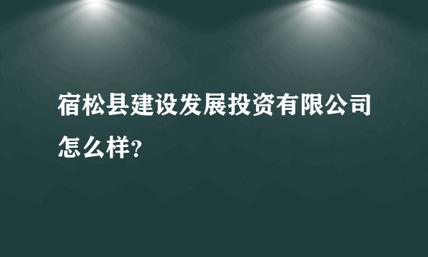 宿松县建设发展投资有限公司怎么样？