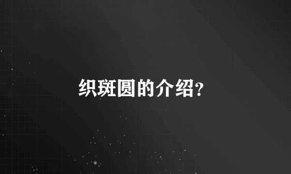 织斑圆的介绍？