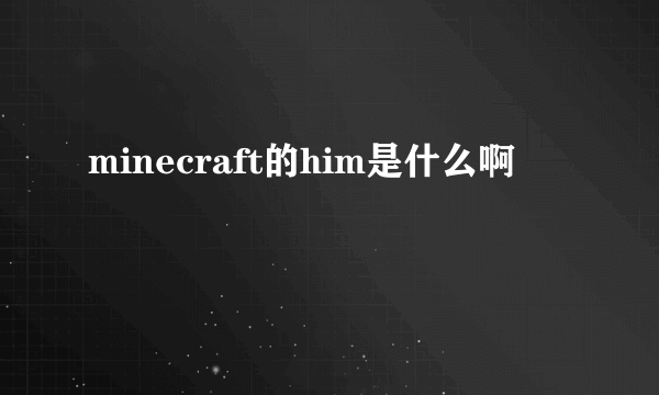 minecraft的him是什么啊