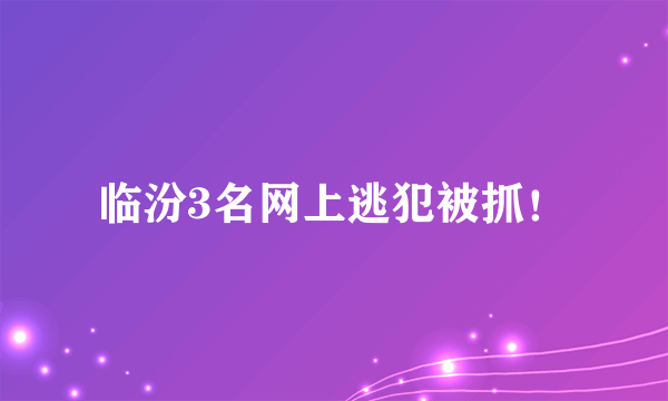 临汾3名网上逃犯被抓！