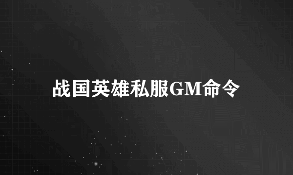 战国英雄私服GM命令