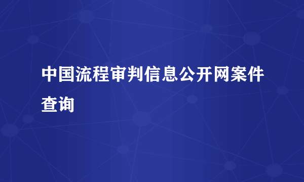 中国流程审判信息公开网案件查询