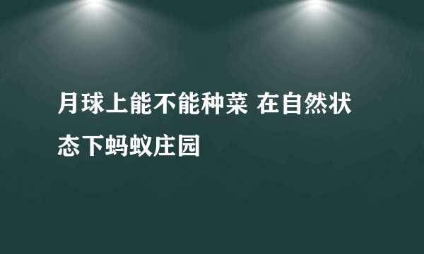 月球上能不能种菜 在自然状态下蚂蚁庄园