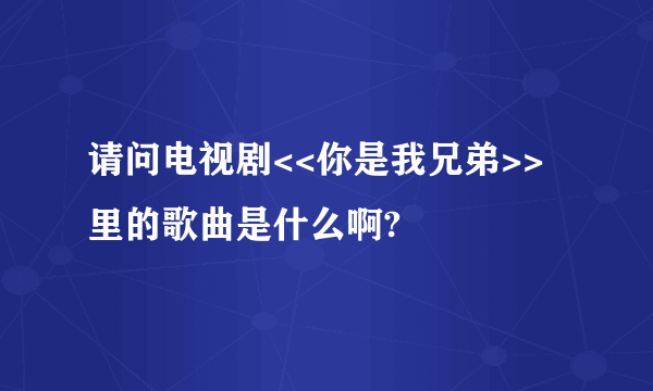 请问电视剧<<你是我兄弟>>里的歌曲是什么啊?