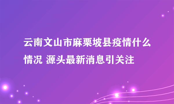 云南文山市麻栗坡县疫情什么情况 源头最新消息引关注