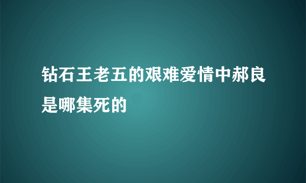 钻石王老五的艰难爱情中郝良是哪集死的