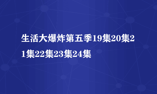 生活大爆炸第五季19集20集21集22集23集24集