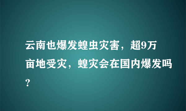 云南也爆发蝗虫灾害，超9万亩地受灾，蝗灾会在国内爆发吗？