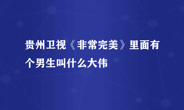 贵州卫视《非常完美》里面有个男生叫什么大伟