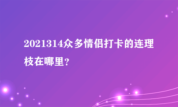 2021314众多情侣打卡的连理枝在哪里？