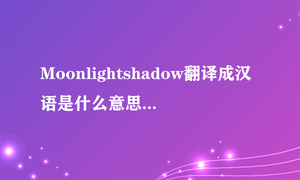 Moonlightshadow翻译成汉语是什么意思？有关她的简介拜托各位了 3Q