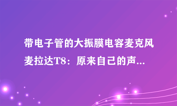 带电子管的大振膜电容麦克风麦拉达T8：原来自己的声音那么好听