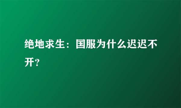 绝地求生：国服为什么迟迟不开？